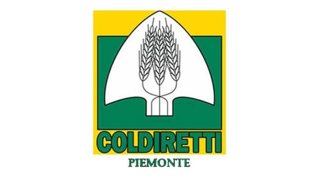 coldiretti piemonte