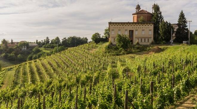 cantina clavesana