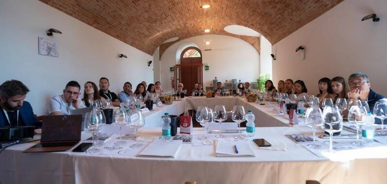 progetto vino collisioni barolo