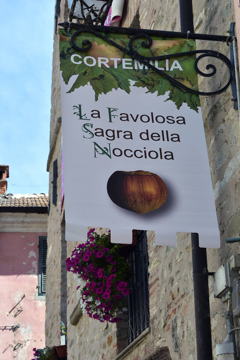 fiera della nocciola di cortemilia