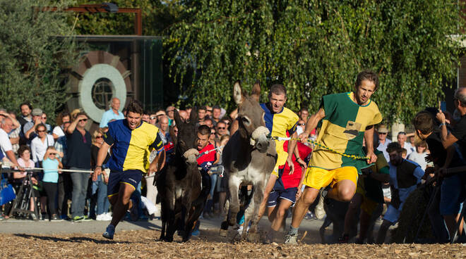 palio asini cocconato 2018