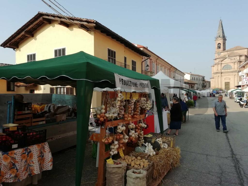 agrifiera tonco