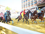 palio dei comuni, palio di asti 2019