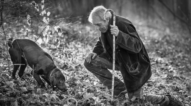 stagione della ricerca tartufo