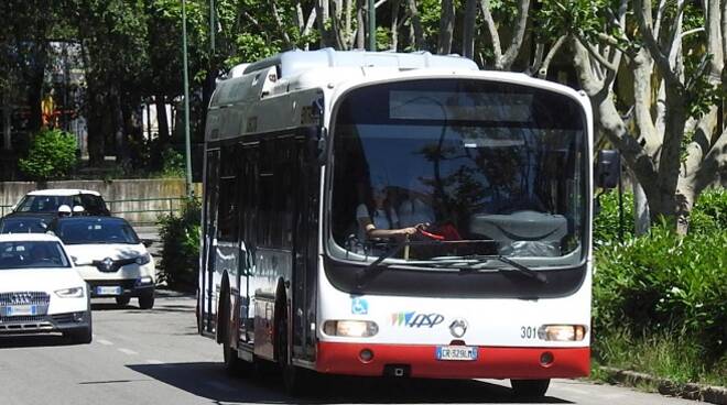 asp bus