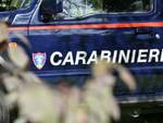 carabinieri Forestali repertorio 