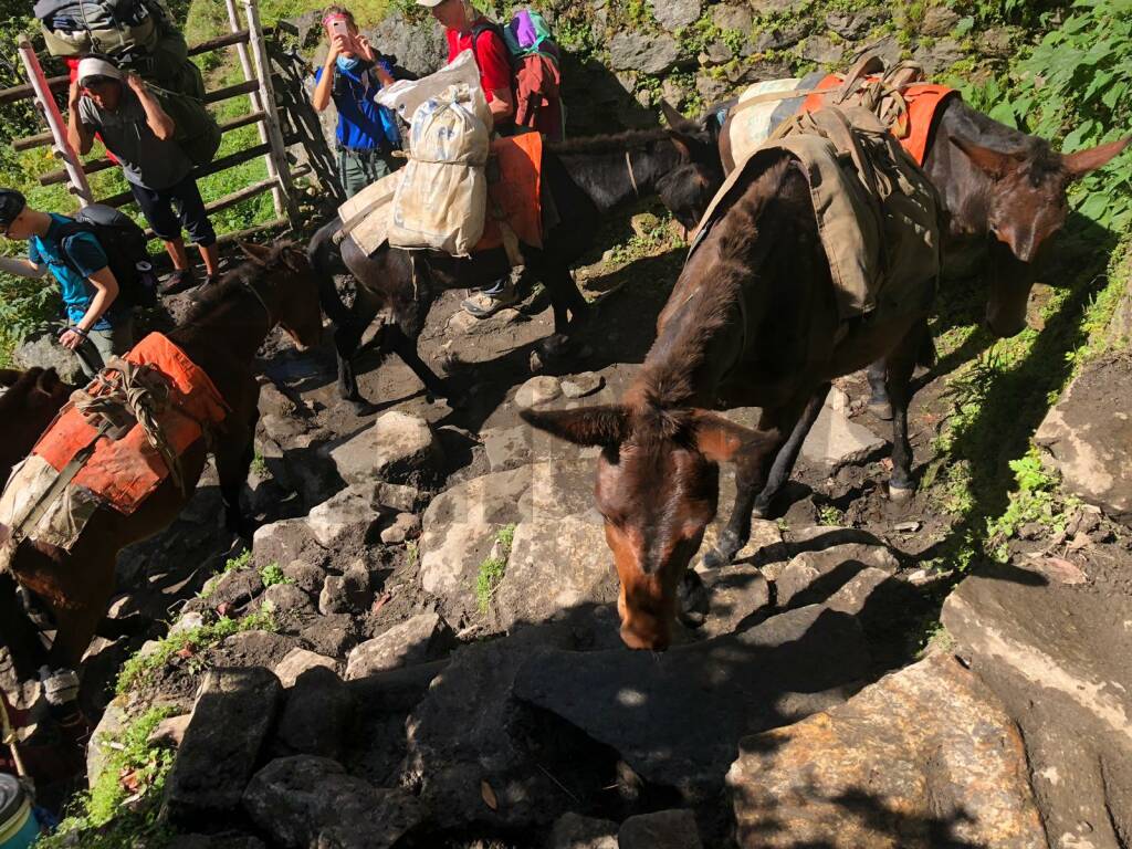 Matteo, l’astigiano in alta quota e senza paura che sfida l’Everest