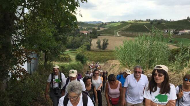 festa della bellezza 2019 cascina graziella 