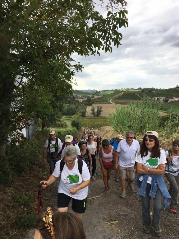 festa della bellezza 2019 cascina graziella 