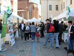 fiera del tartufo bianco di alba