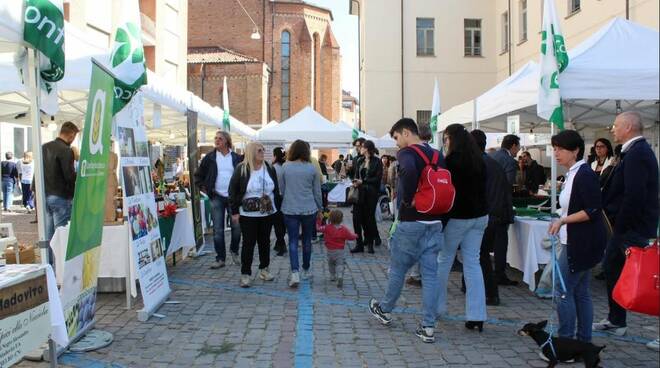 fiera del tartufo bianco di alba