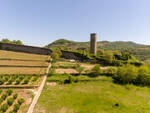 la torre di cortemilia