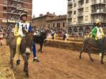 palio asini 2019 alba