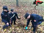 Carabinieri forestali canelli 