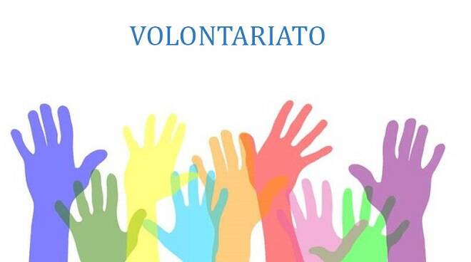 volontariato repertorio