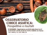 convegno cimice asiatica