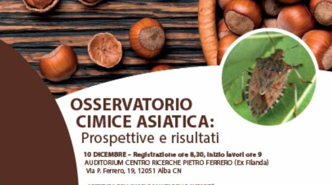 convegno cimice asiatica