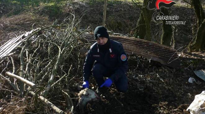 carabinieri forestali