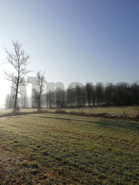 in cerca di bellezza nicolò poggio