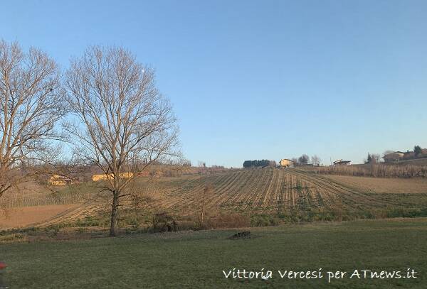 in cerca di bellezza vercesi dellavalle massocco