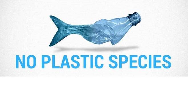 plastic free