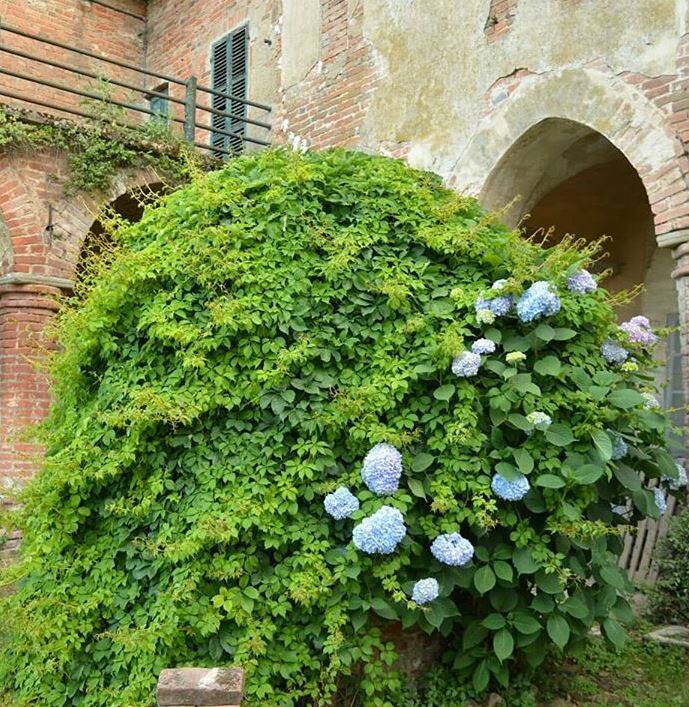 rovine castelnuovo belbo