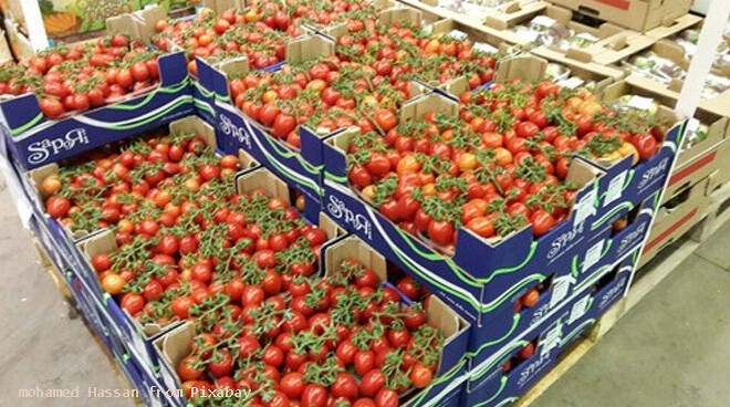 pomodori - Coronavirus: 500 Kg alla settimana di ortofrutta Made in Piemonte alla Caritas