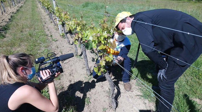 Coldiretti Asti: "Anche le Iene sollecitano manodopera a favore dell’agricoltura"