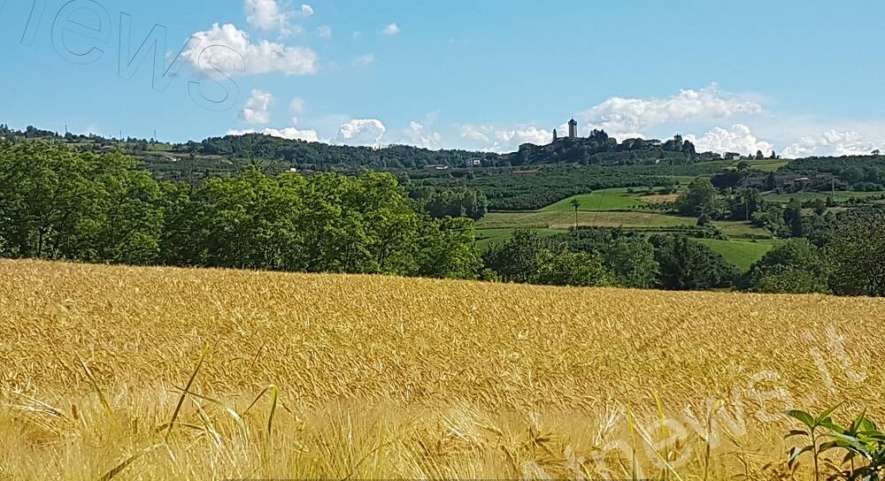 Girovagando in Langa Astigiana