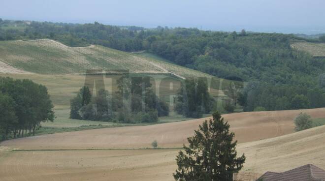 monferrato