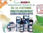 amazon forest rava fava