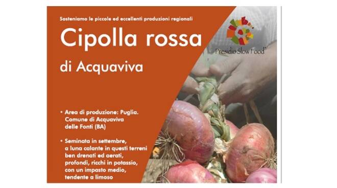 cipolla rossa acquaviva presidio slow food