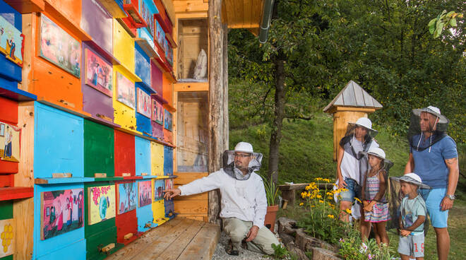 Nasce Beetourism, la via del miele dell’Astigiano