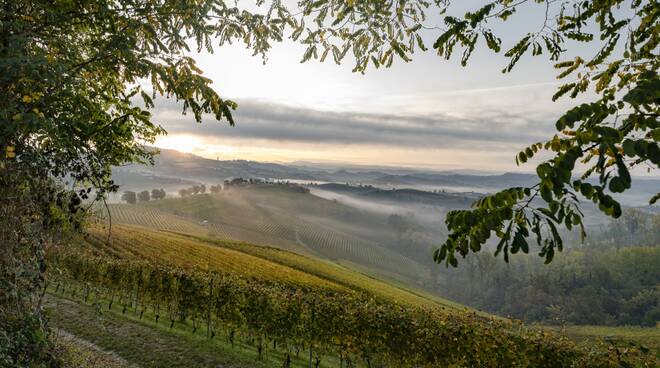 langhe roero monferrato on air foto credit alessandro sgarito