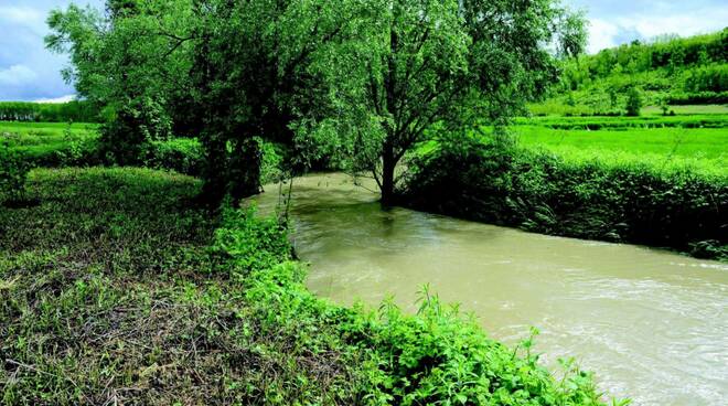 torrente tiglione