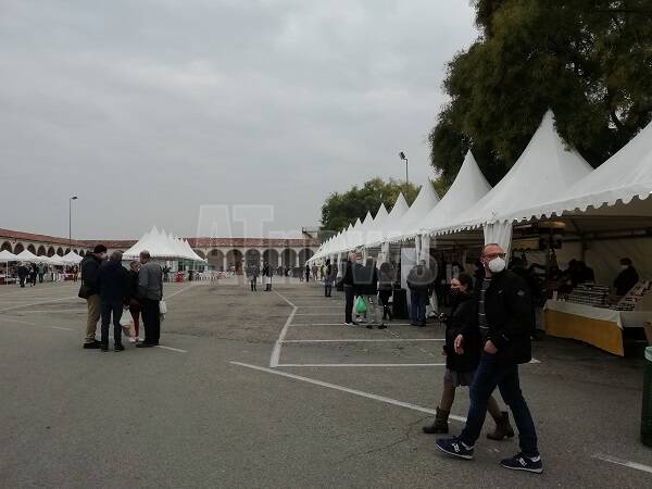 66a Fiera del Tartufo di Moncalvo