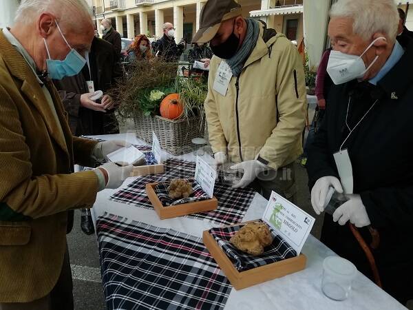 66a Fiera del Tartufo di Moncalvo