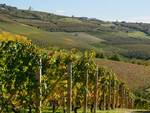 degustazioni barbaresco a neive