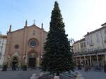 albero natale