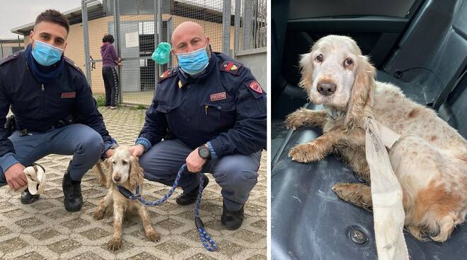 cagnolina salvata da polizia di asti
