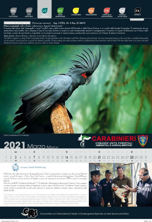 Calendario CITES 2021 dell’Arma Forestale dei Carabinieri 