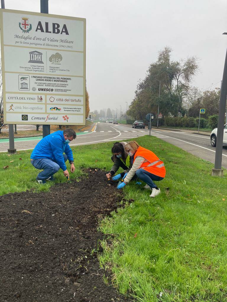 Oltre tremila bulbi donati da Messer Tulipano di Pralormo per le aiuole di Alba