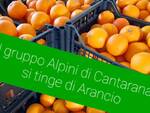 arance gruppo alpini cantarana