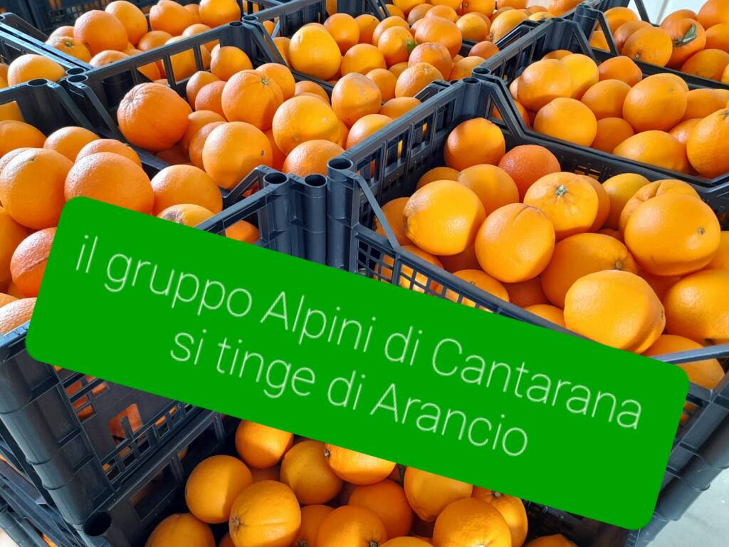 arance gruppo alpini cantarana