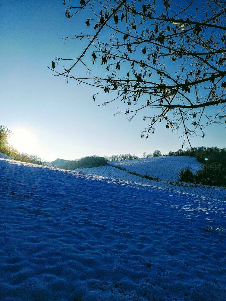 Neve a Bruno Alice Lovisolo