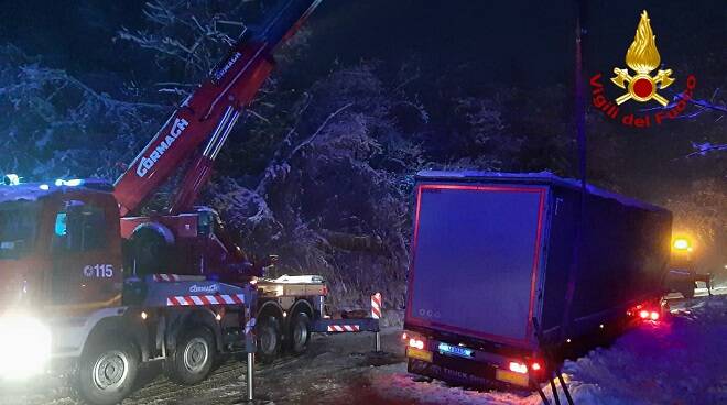 camion cassinasco