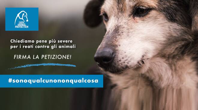 lega nazionale a difesa del cane