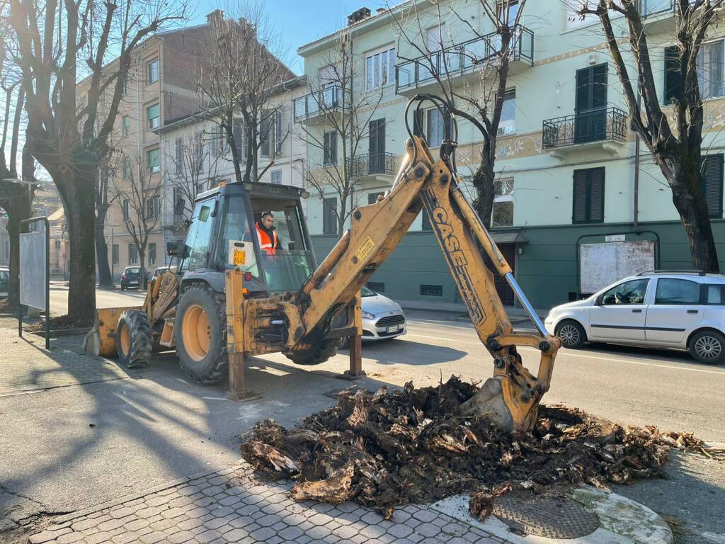 Piantumazione di 100 nuovi alberi ad Asti