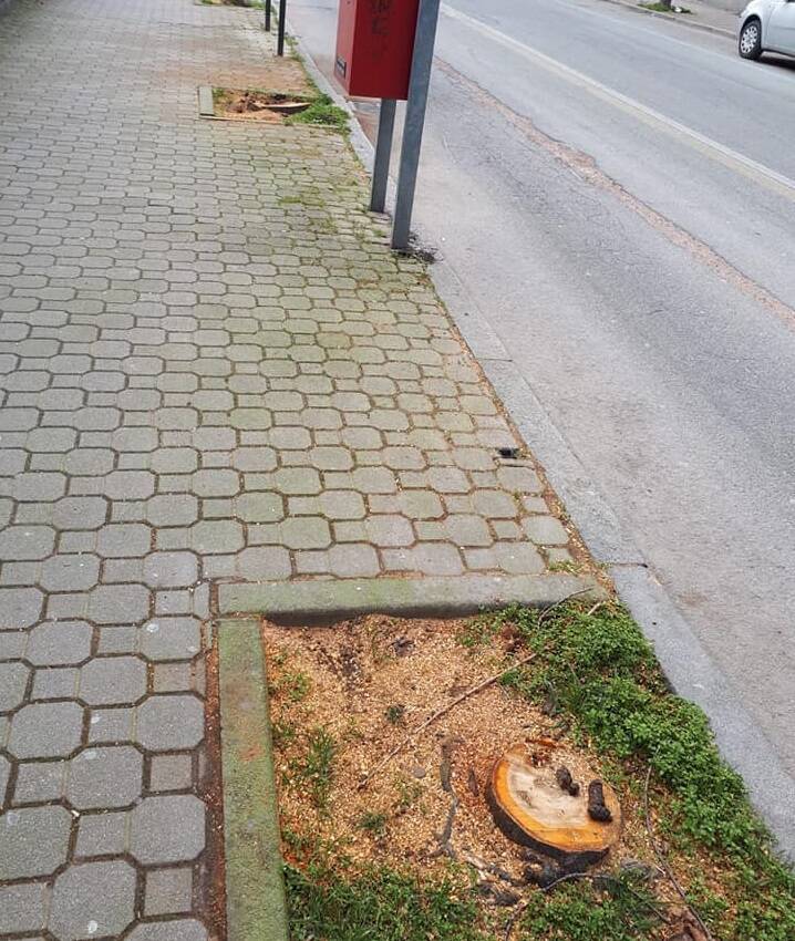 foto corso matteotti lettera verdi asti