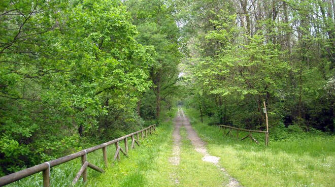 Parchi naturali in Piemonte